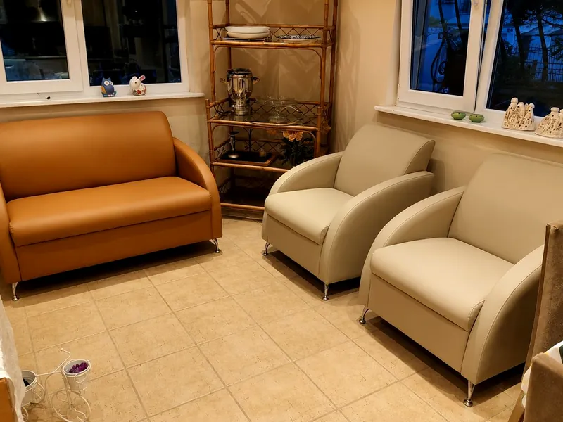 Deri kaplamalı berjer ve sandalye grubu